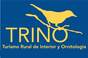 Proyecto TRINO