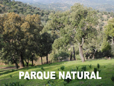 Parque Natural