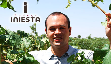 BODEGA INIESTA