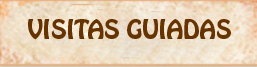 Visitas Guiadas