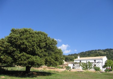 Casas Rurales Cortijo Cerro Fuentes Nuevas