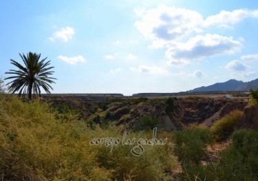 El Labrador (Cortijo Las Gachas)