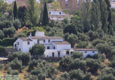 El Molinillo