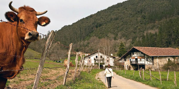 Casas Rurales Vizcaya Solo Alojamientos Oficiales