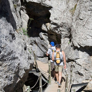 Alto Bernesga, Reserva de la Biosfera a�orada