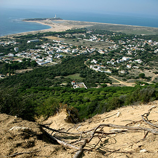 La Brea y Marismas del Barbate, deleite asegurado