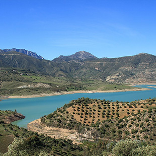 Embalse de Bornos, humedal con sonidos musicales