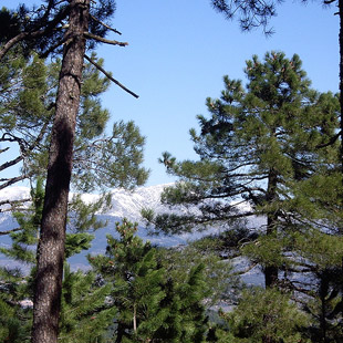 Sierra de Guadarrama, disfrute natural para todos