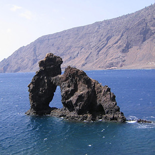 El Hierro, efluvios mgicos desde el rbol Garo
