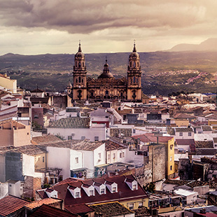 Jaén, capital del Santo Reino y aceite de oliva