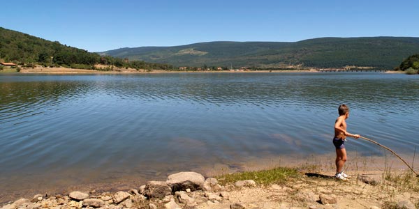 Alojamientos Rurales Recomendados En Vinuesa Y Laguna Negra Agua Pinar Y Machado