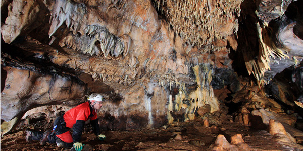 cueva de los enebralejos pradena
