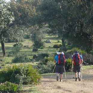 Ruta de la Plata en Sevilla, hacia Compostela