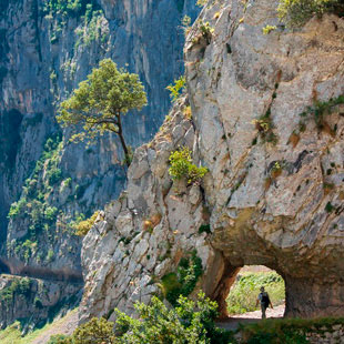 Ruta del Cares, Garganta Divina en Picos de Europa