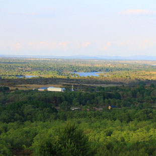 Sierra de la Culebra, aullido lobuno y berreas