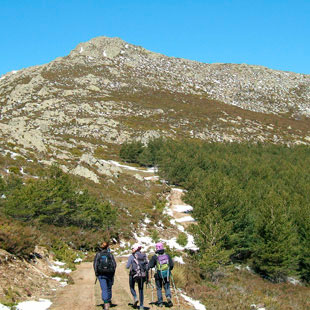 Sierra Norte de Guadalajara, Parque Nacional