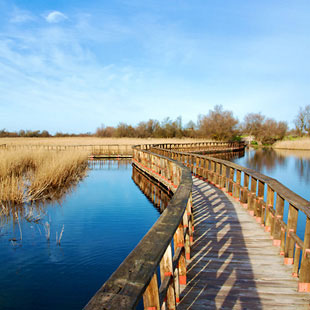 Tablas de Daimiel, Parque Nacional de aves y agua