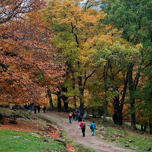 Valle de Iruelas, Reserva Natural junto a Gredos