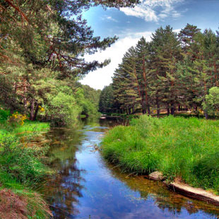 Barco de vila y Valle del Tormes, plpito serrano