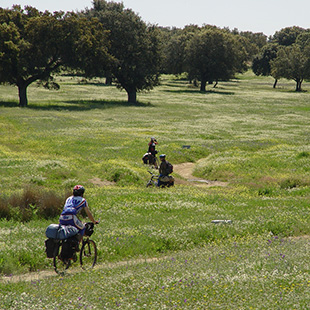 Va de la Plata por Cceres, paisajes a recordar