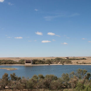 Lagunas de Villaffila, paraso de nsares mil
